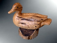 VA duck