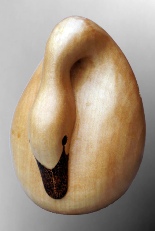 swanegg