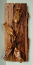Nuthatches on American chestnut