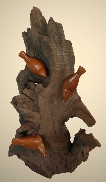 nuthatchesonwalnutroot 