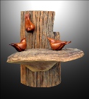 NuthatchesonFungus