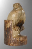 cucumberhawk