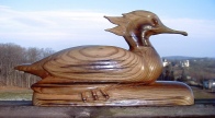 merganser.JPG