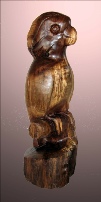 moluccanwalnut