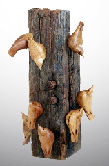 ChestnutBeam Nuthatches