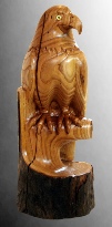 Eagle Noble Spirit