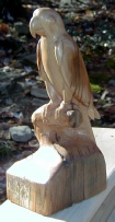 macaw.JPG